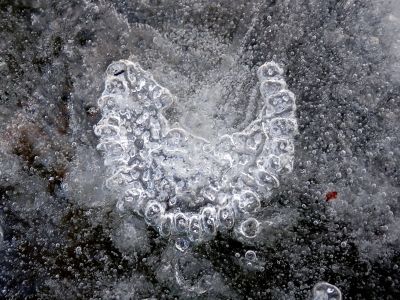 Tady někdo přišel o chrup