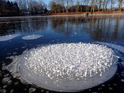 Detaily Jarkovického rybníka