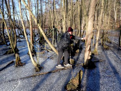 Labyrint za lávkou na Konopišti