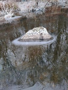 Detaily Jevanského rybníka