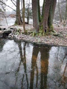 Krásná panenská zákoutí s průhledným ledem se však dala nalézt.
