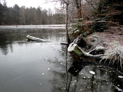 Na rybníku Švýcar bruslíme sami.