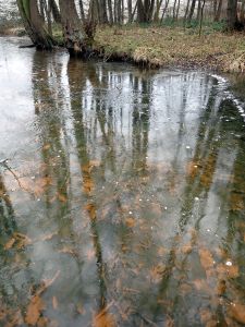 Průhledným ledem je vidět na dno.