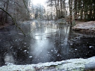 Romantický konec rybníka Pařez