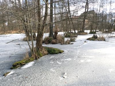 Zámecký rybník v Blatné