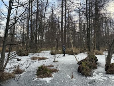 Zámecký rybník v Blatné