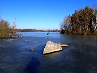 Na Velkém Pálenci jsou také žulové ostrůvky.