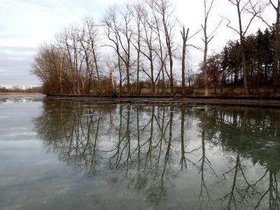 Nádherné odrazy i bez slunce na Sýkorníku