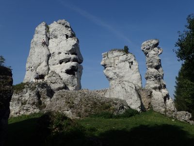 Ogrodzieniec