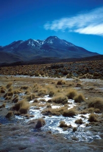 Bolivie