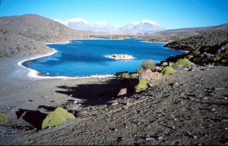 Chile - u jezera Parinacoty