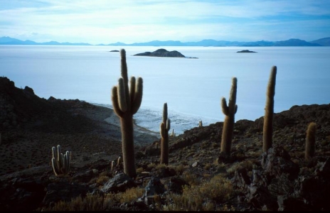Salar - Isla de pescadores