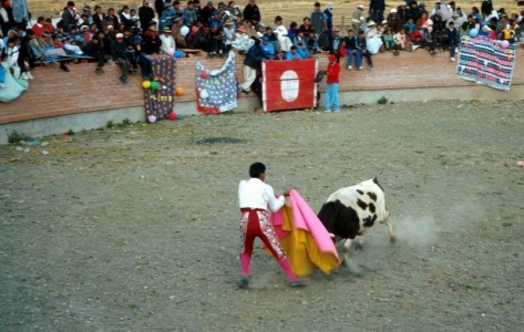Titikaka - Copa-corrida