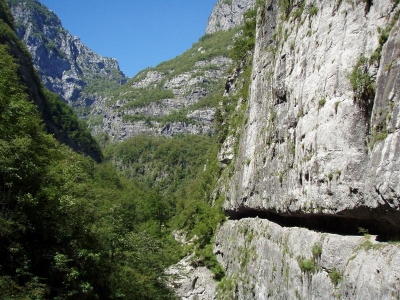 Skalni pesinka generala Janukovice