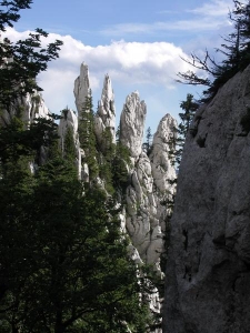 Ctyri veze