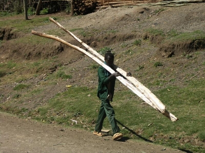 Na trhu je možné prodat cokoliv