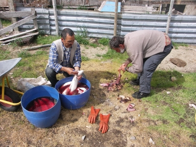 Čekáa náas rybí hostina