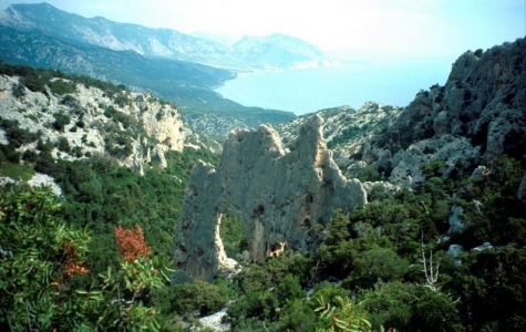 Architieddu Lupiru