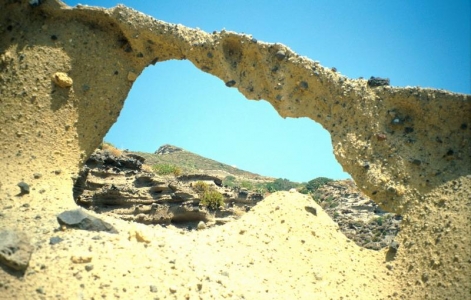 Salina