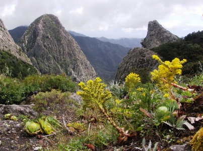 Gomera - Roque de Agando