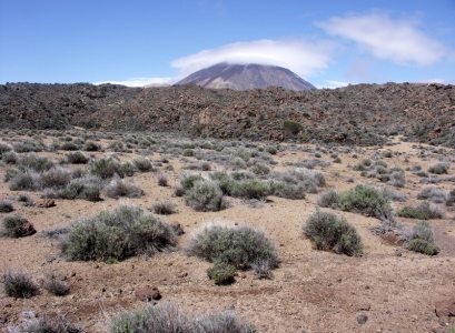 Tenerife - Teide - Las Canadas