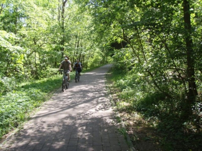 Lesnatý úsek za Mescherin