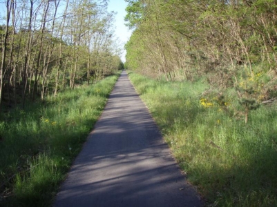 Lesní dálnice