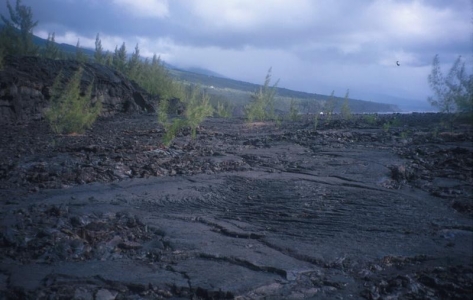 Pointe de la Table - tady se v roce 1986 rozrostl ostrov o několik desítek hektarů