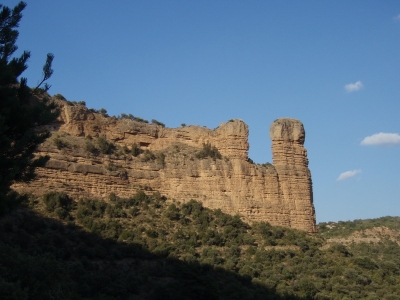 Skala Huevo de Morrano