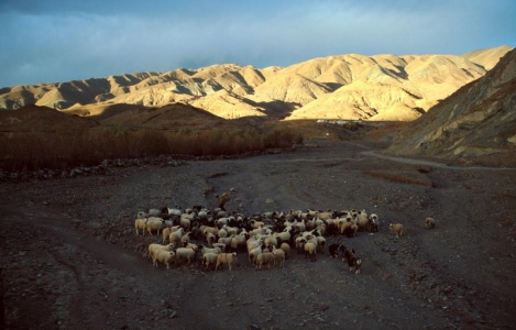Krása Tibetu