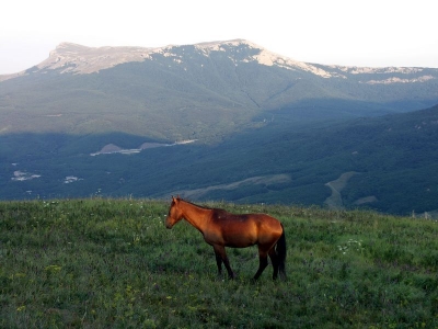 Nejen my, lini turiste, ale i konici se byli podivat na vychod slunce