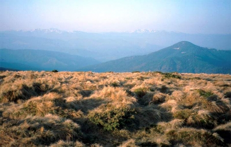 Hoverla - pohled na Maramures