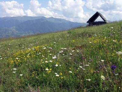Polonina Krasna