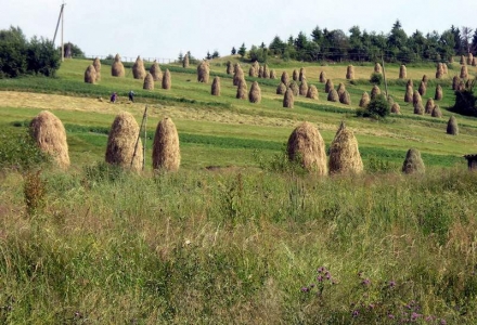 Senosečc za vsi Tjuska