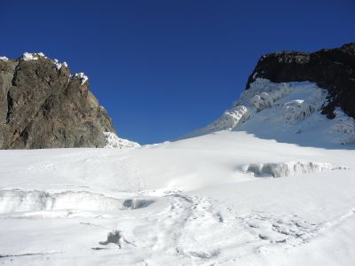 Ledovec Margherita