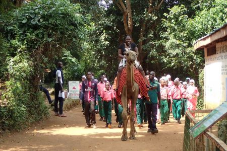 V ZOO v Entebbe