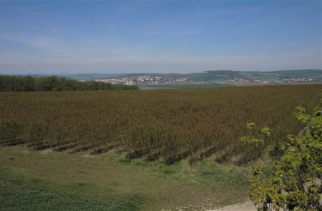 Pohled na Uherský Brod