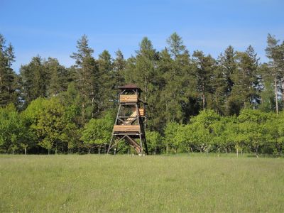 Rozhledna Na Skalce
