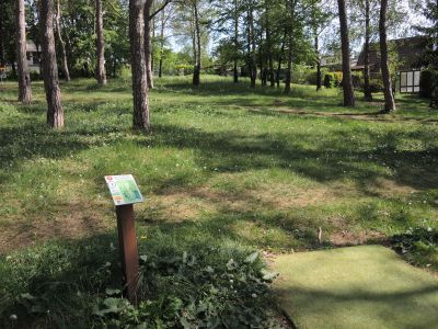 Discgolfové hřiště v borovém hájku v Dolním Němčí