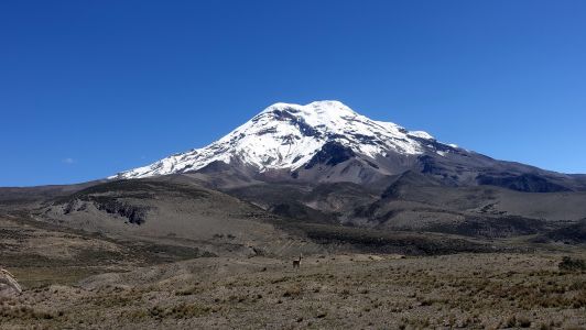 Chimborazo