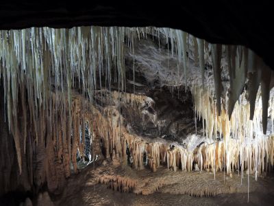 Mole Cave