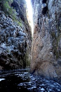 V divokém kaňonu Franklin River