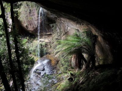 Shower Cave Falls