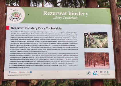 Rezerwat Bory Tucholskie