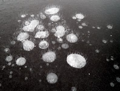 Chlupaté bubliny
