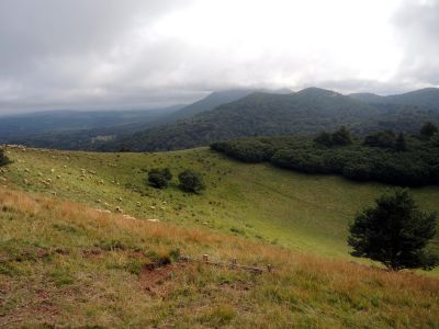 Puy des Goules