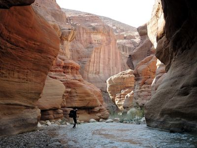Wadi Hasa