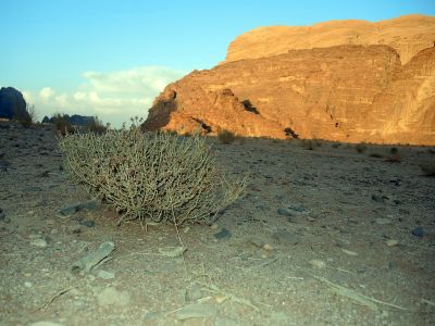 Západ slunce na Wadi Rum