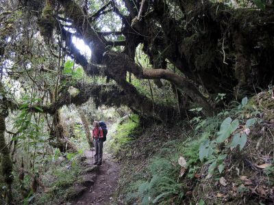 Choquequirao trek
