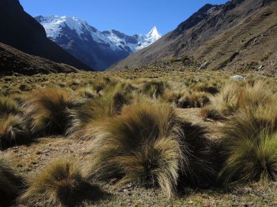 Quebrada Los Cedros neboli Alpamayo